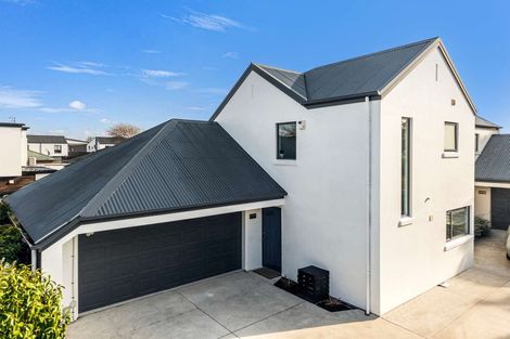 Photo of property in 123a Canon Street, Edgeware, Christchurch, 8013