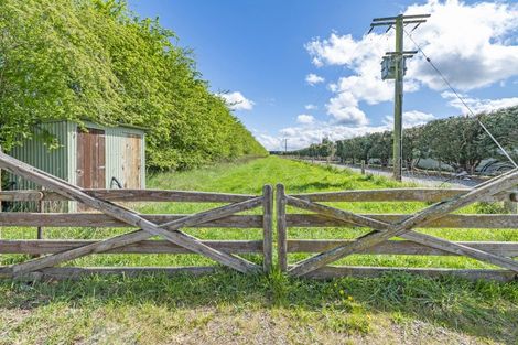 Photo of property in 78 Howsons Road, Cust, Rangiora, 7475