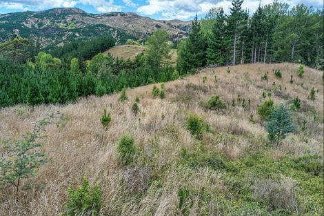 Photo of property in 1664 Kahuranaki Road, Kahuranaki, Havelock North, 4295