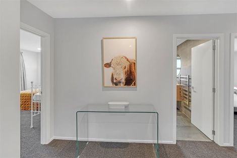 Photo of property in 147 Hamilton Avenue, Ilam, Christchurch, 8041