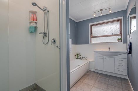 Photo of property in 111 College Street, Awapuni, Palmerston North, 4412