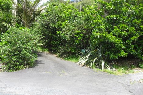 Photo of property in 117 Seaview Road, Piha, New Lynn, 0772