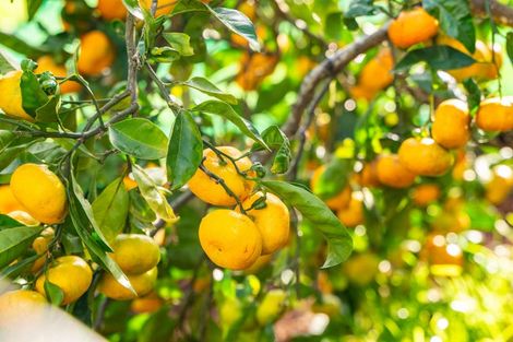 Photo of property in 3 Mahurangi East Road, Snells Beach, Warkworth, 0982