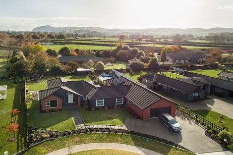 Photo of property in 28 Nikale Street, Cambridge, 3434