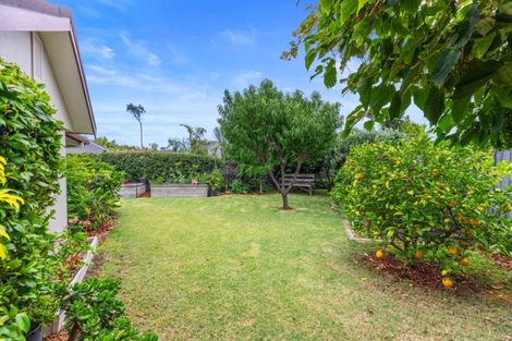 Photo of property in 18 Harbelle Close, Bethlehem, Tauranga, 3110