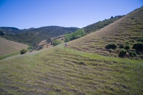 Photo of property in Rockell Road, Helena Bay, Hikurangi, 0184