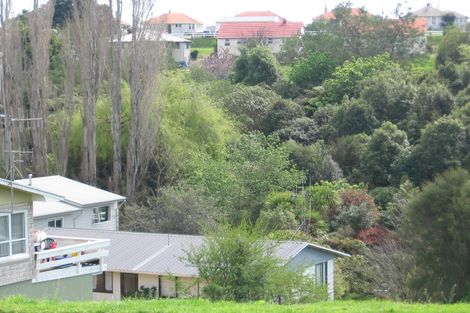 Photo of property in 35b Esk Street, Parkvale, Tauranga, 3112