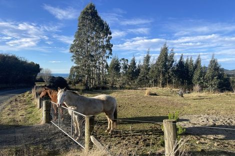 Photo of property in 86 Waitati Valley Road, Upper Waitati, Waitati, 9085