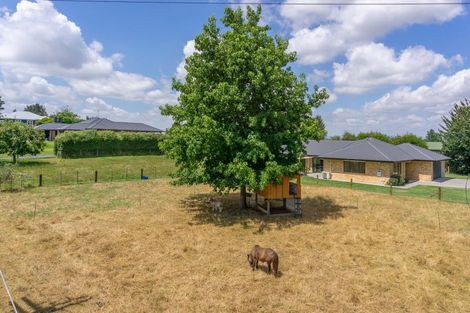 Photo of property in 17 Haultain Street, Kihikihi, Te Awamutu, 3800