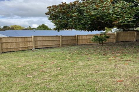 Photo of property in 22 Mansel Avenue, Hillcrest, Hamilton, 3216