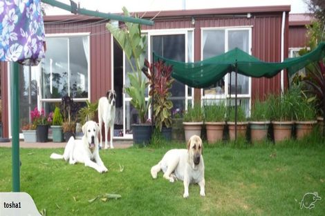 Photo of property in 484 Paparore Road, Paparore, Awanui, 0486