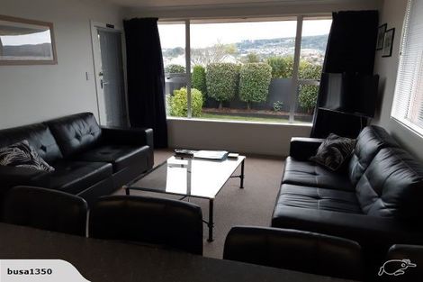 Photo of property in 6a Hereford Street, Roslyn, Dunedin, 9010