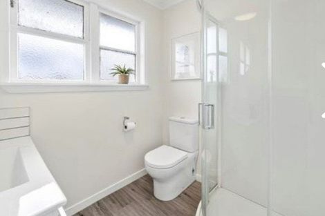 Photo of property in 217 Knights Road, Hutt Central, Lower Hutt, 5011