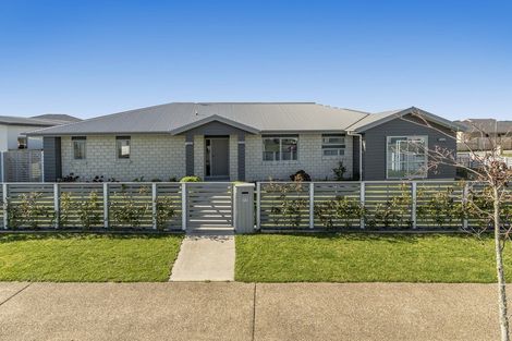 Photo of property in 77 Te Ranga Memorial Drive, Pyes Pa, Tauranga, 3112