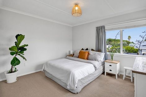 Photo of property in 16 Clyde Street, Ferndale, New Plymouth, 4310