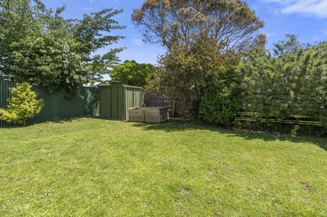 Photo of property in 7 Douglas Street, Levin, 5510