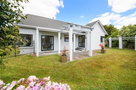 Photo of property in 3 Blennerville Close, Marton, 4710