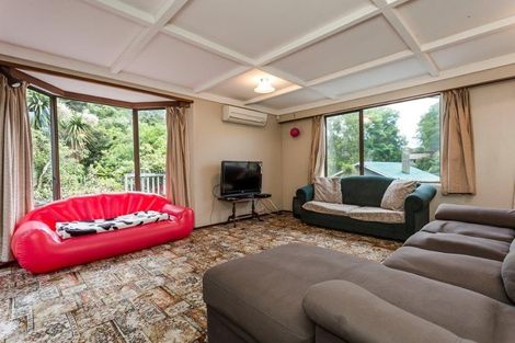 Photo of property in 36 Littlebourne Road, Roslyn, Dunedin, 9010