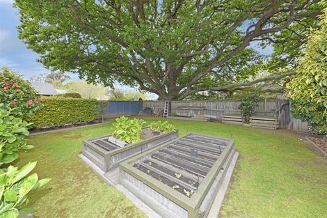 Photo of property in 27 Acorn Close, Waltham, Christchurch, 8023