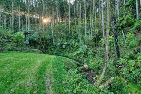 Photo of property in 299c Whakamarama Road, Whakamarama, 3179