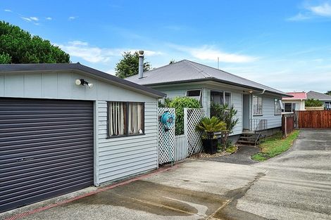 Photo of property in 1/20 Mile Place, Henderson, Auckland, 0612