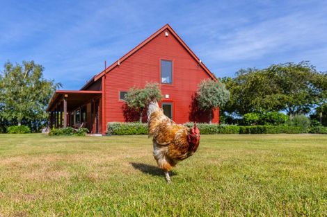 Photo of property in 92 Pauls Road, Rapaura, Blenheim, 7273