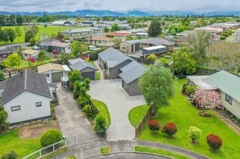 Photo of property in 17 Miller Place, Ngatea, 3503