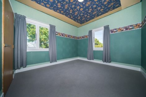 Photo of property in 166 Salisbury Street, Ashhurst, 4810