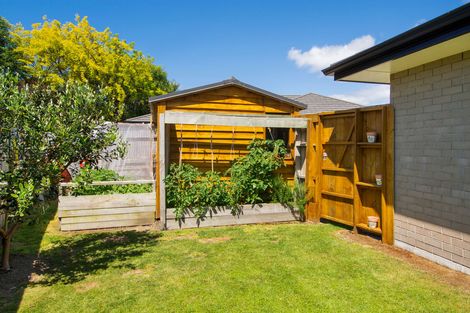 Photo of property in 56 Fairfax Crescent, Pyes Pa, Tauranga, 3112