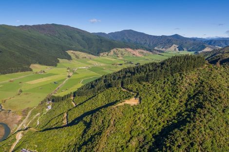 Photo of property in 167 Anakiwa Road, Anakiwa, Picton, 7281