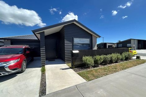Photo of property in 7 Bronze Court, Papamoa, 3118