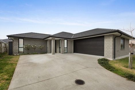 Photo of property in 2/10d Clive Road, Katikati, 3129