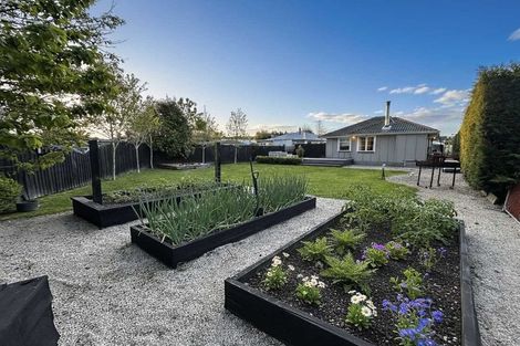 Photo of property in 19 King Street, Coalgate, 7673