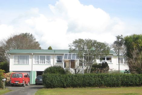 Photo of property in 17 Ariel Street, Stratford, 4332