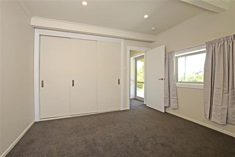 Photo of property in 6 Heath Street, Andersons Bay, Dunedin, 9013