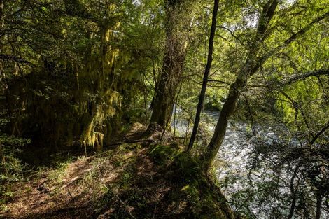 Photo of property in 101 Gowan Valley Road, Gowanbridge, Murchison, 7077