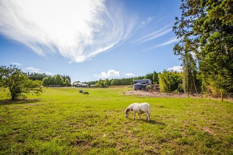 Photo of property in 76 Riddell Road, Kerikeri, 0230