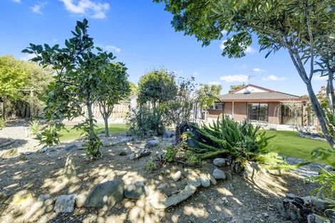 Photo of property in 17 King Street, Richmond, 7020