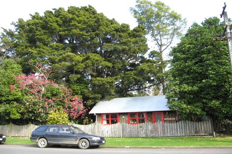 Photo of property in 60 Macarthur Street, Levin, 5510