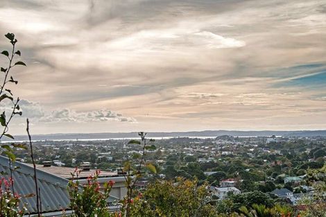 Photo of property in 41 Landscape Road, Mount Eden, Auckland, 1024