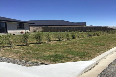 Photo of property in 31 Kingfisher Avenue, Amberley, 7410