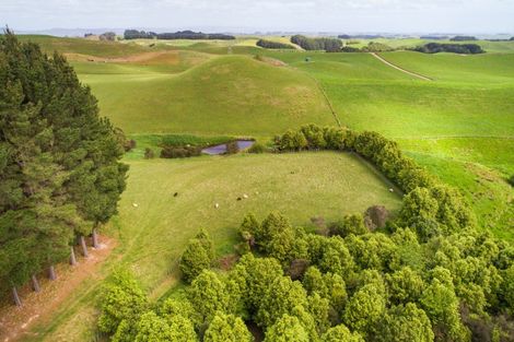 Photo of property in 484 Finnis Road, Pohangina, Feilding, 4775