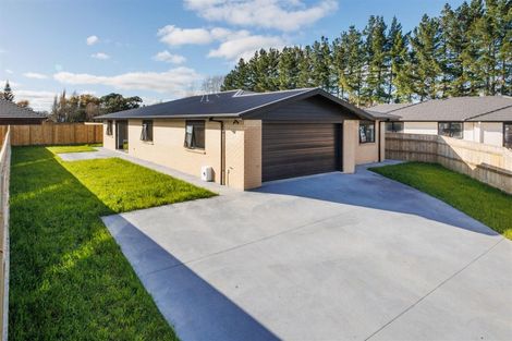 Photo of property in 53 Hereford Street, Marton, 4710