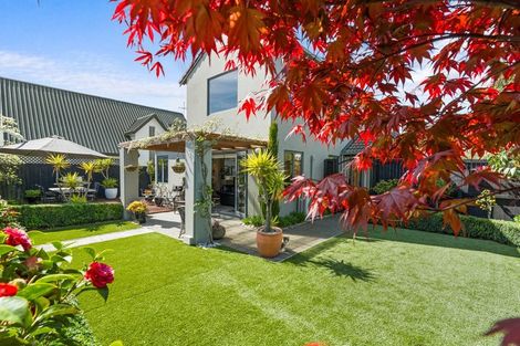 Photo of property in 159a Ashgrove Terrace, Somerfield, Christchurch, 8024
