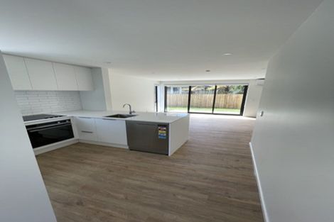 Photo of property in 3/46 Roker Street, Somerfield, Christchurch, 8024