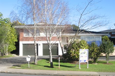 Photo of property in 25 David Avenue, Hillpark, Auckland, 2102