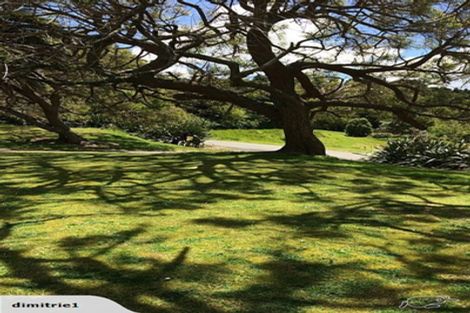 Photo of property in 6 Marriner Street, Kohukohu, 0491