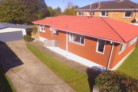 Photo of property in 17 Sholson Street, Putaruru, 3411