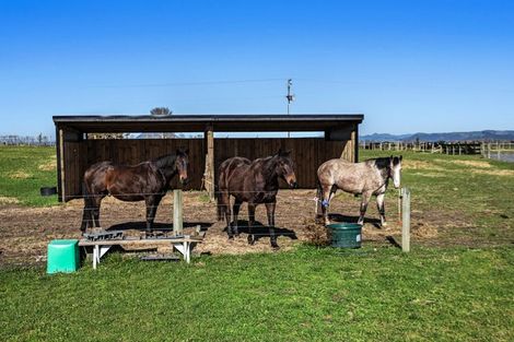 Photo of property in 1164 Thornton Road, Matata, Whakatane, 3194