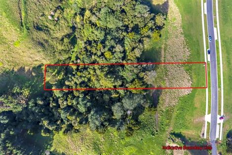 Photo of property in 23 Michael Bosher Way, Flat Bush, Auckland, 2019